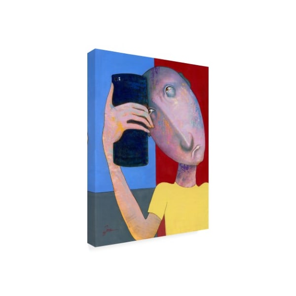 Ronny Z 'Selfie Abstract' Canvas Art,24x32